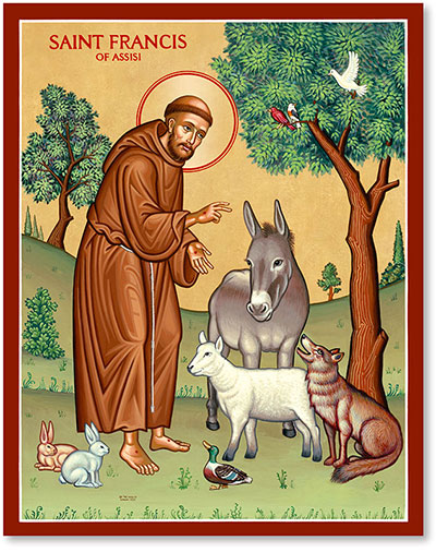 the patron saint of animals, birds, and the environment.40